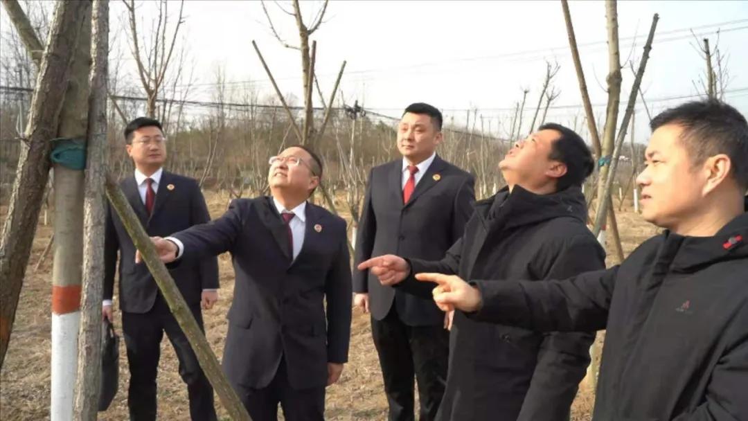 最高检发布检察公益诉讼起诉典型案例(图31) 最高检发布检察公益诉讼起诉典型案例(图31)