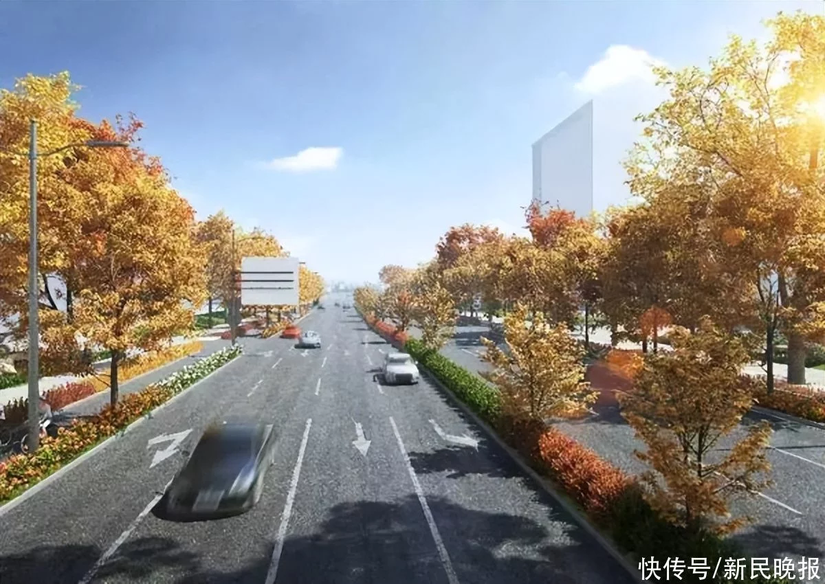 4车道变6车道！高科东路（华东路—外环线）改建工程进入道路主体施工阶段(图3)
