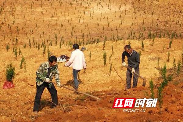 衡南铁腕整治非法采洗山砂工作(图2)