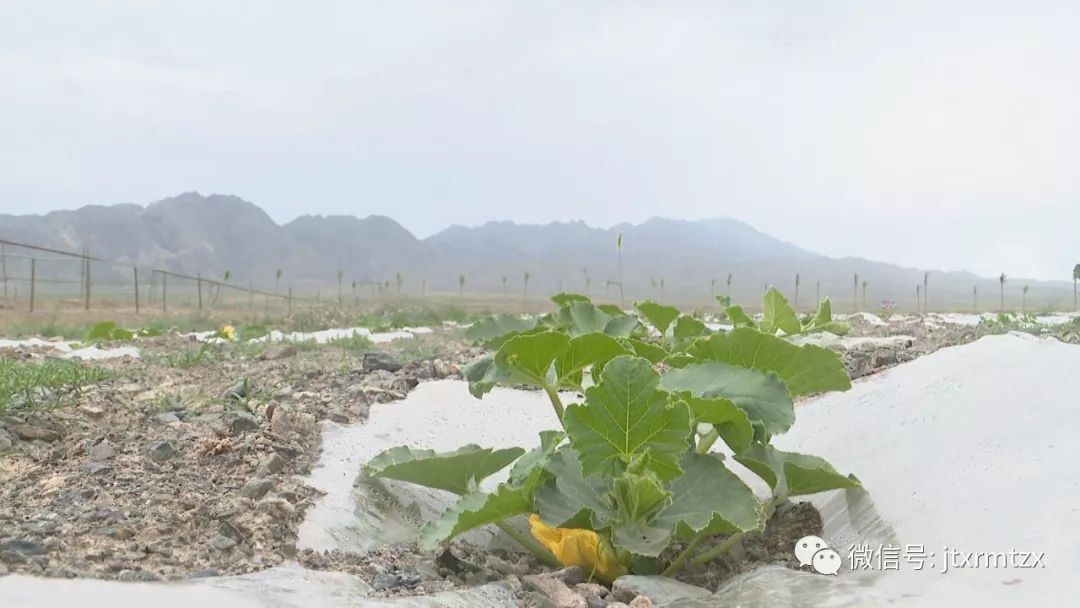 甘肃盛浩诚砂石场:环保高效规范化生产推动企业绿色发展(图7) 甘肃盛浩诚砂石场:环保高效规范化生产推动企业绿色发展(图7)