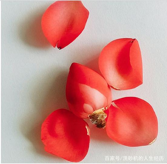 矿石脱泥洗砂机@听花开的声音,色不迷人人自迷,酒不醉人人自醉(图1) 矿石脱泥洗砂机@听花开的声音,色不迷人人自迷,酒不醉人人自醉(图1)
