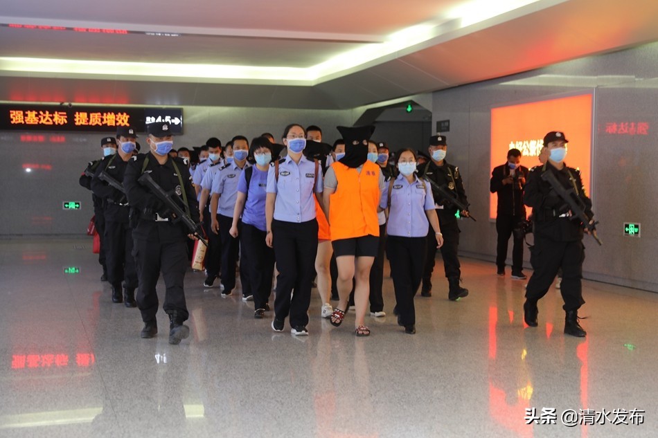 【向人民报告】数说2020,清水公安这份成绩单请您查收!(图13) 【向人民报告】数说2020,清水公安这份成绩单请您查收!(图13)