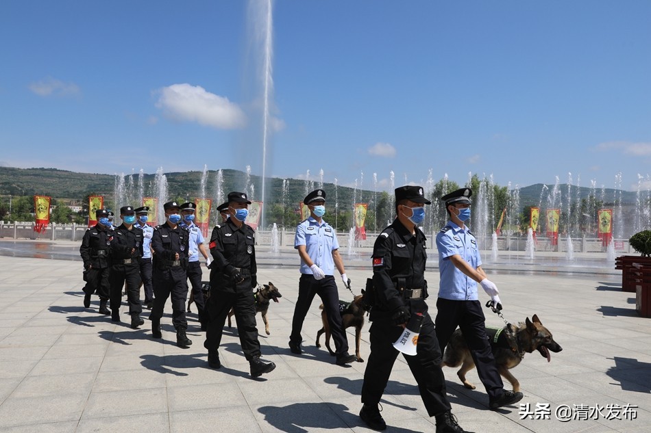 【向人民报告】数说2020,清水公安这份成绩单请您查收!(图16) 【向人民报告】数说2020,清水公安这份成绩单请您查收!(图16)