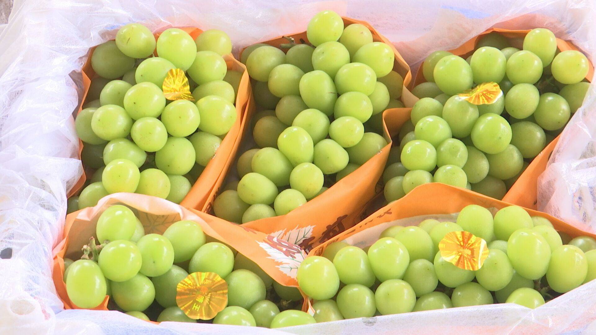 夏季水果大量上市批发价格普遍上涨(图3)