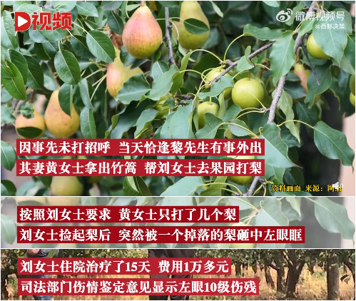 午报｜7月15日上岗！郑州新增77套机动车违法行为抓拍系统(图8)