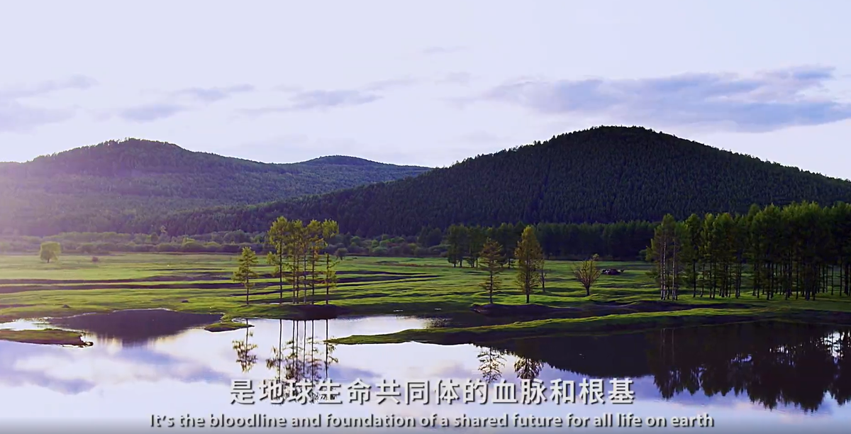 一周环保新闻：中央生态环境保护督察集中通报典型案例，《新型储能项目管理规范（暂行）》印发...(图2)