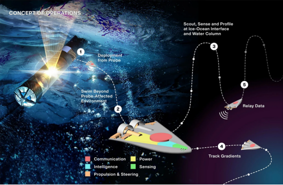 微型游泳机器人未来或将遨游外星海洋寻找生命(图2)