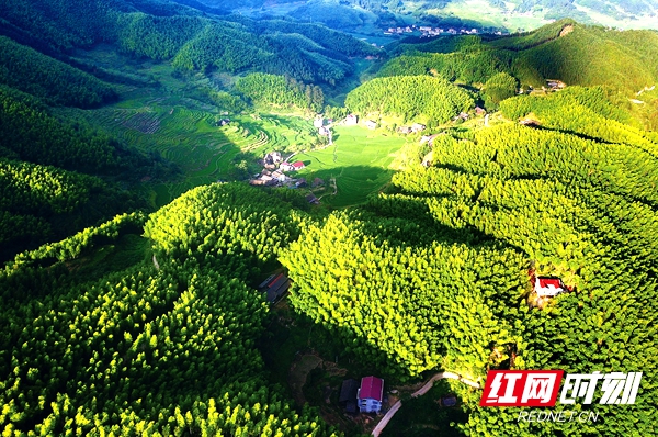 壮丽70年丨绥宁:奋进七十载绿洲展华彩(图2) 壮丽70年丨绥宁:奋进七十载绿洲展华彩(图2)