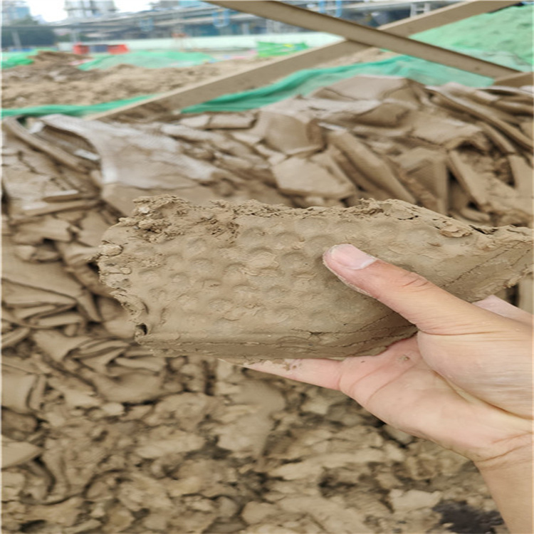洗砂生产线尾矿处理泥浆该怎么进行脱水处理？板框压滤机轻松处理(图2)