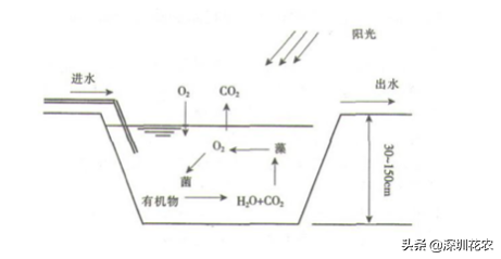 国家湿地水环境污染控制指南项目(一)(图4) 国家湿地水环境污染控制指南项目(一)(图4)