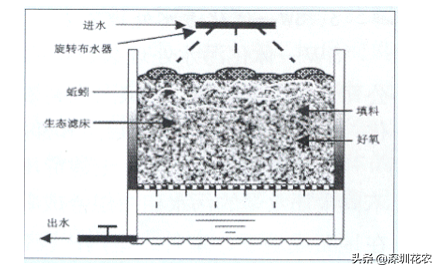 国家湿地水环境污染控制指南项目(一)(图16) 国家湿地水环境污染控制指南项目(一)(图16)
