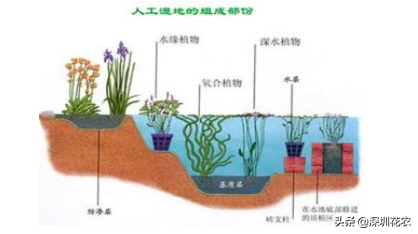 国家湿地水环境污染控制指南项目(一)(图14) 国家湿地水环境污染控制指南项目(一)(图14)