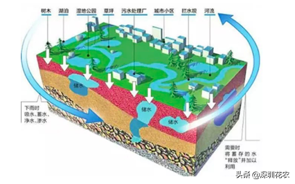 国家湿地水环境污染控制指南项目(一)(图18) 国家湿地水环境污染控制指南项目(一)(图18)