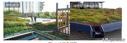国家湿地水环境污染控制指南项目(一)(图20) 国家湿地水环境污染控制指南项目(一)(图20)