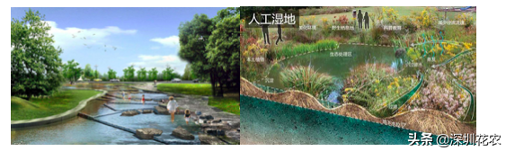 国家湿地水环境污染控制指南项目(一)(图24) 国家湿地水环境污染控制指南项目(一)(图24)