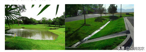 国家湿地水环境污染控制指南项目(一)(图26) 国家湿地水环境污染控制指南项目(一)(图26)