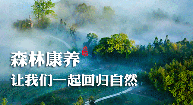 将乐县获评全国“两山”实践创新基地(图8) 将乐县获评全国“两山”实践创新基地(图8)