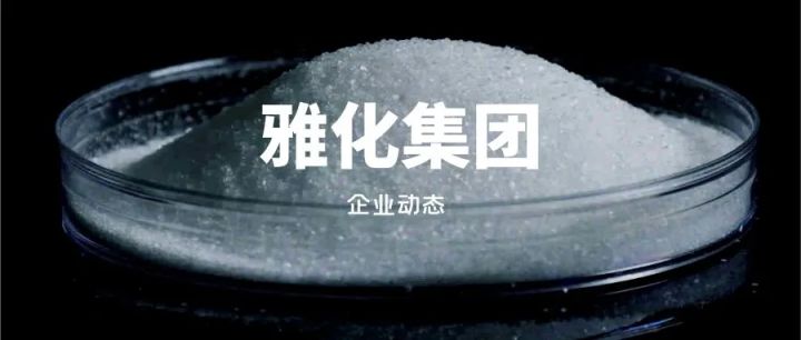 雅化集团是一家什么样的公司?(图1) 雅化集团是一家什么样的公司?(图1)