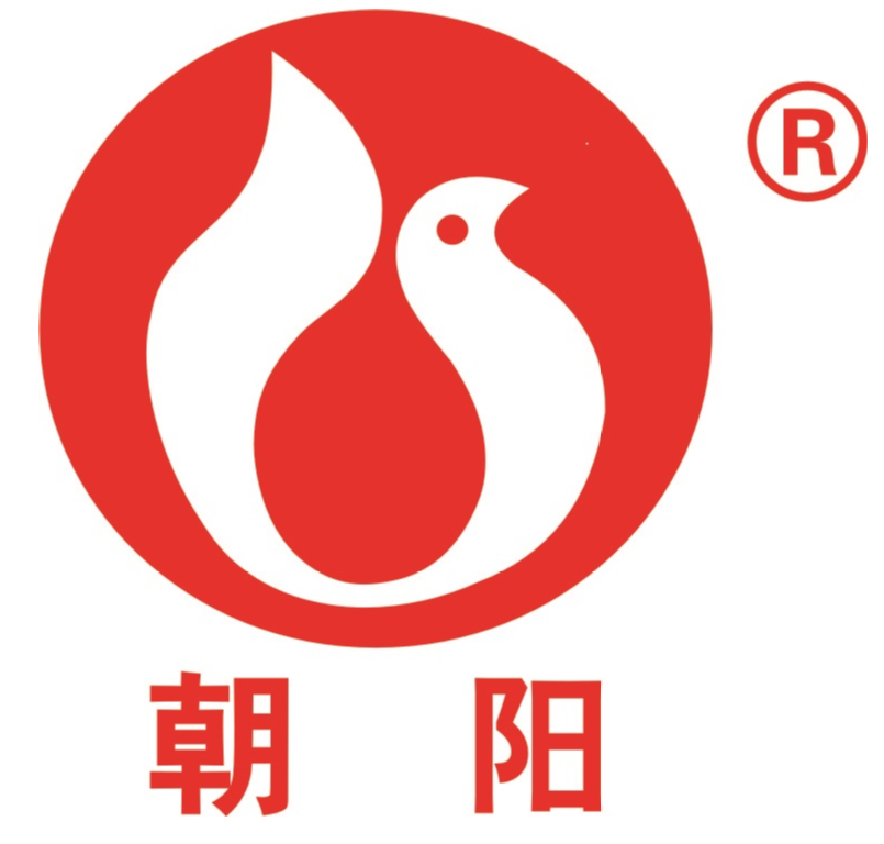 衡阳市朝阳重机有限公司邀您参观第六届广州砂石展！(图2)