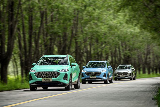 2022年值得买的SUV：玛奇朵DHT&拿铁DHT(图2)
