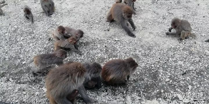 4000公里,遇见“慢生活”的美好(图73) 4000公里,遇见“慢生活”的美好(图73)