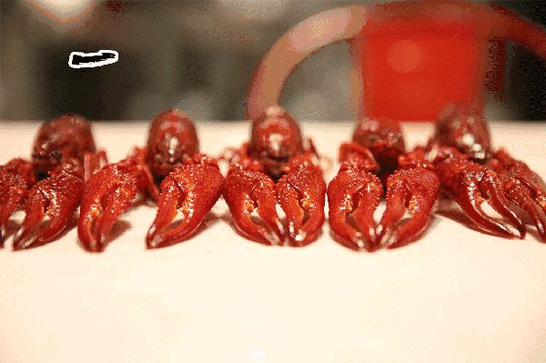 小龙虾价格飞涨,吃货哭着也要吃!(图4) 小龙虾价格飞涨,吃货哭着也要吃!(图4)