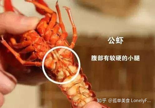 小龙虾价格飞涨,吃货哭着也要吃!(图14) 小龙虾价格飞涨,吃货哭着也要吃!(图14)