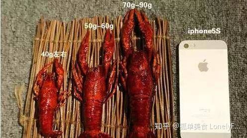 小龙虾价格飞涨,吃货哭着也要吃!(图16) 小龙虾价格飞涨,吃货哭着也要吃!(图16)
