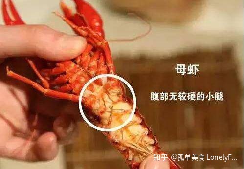 小龙虾价格飞涨,吃货哭着也要吃!(图15) 小龙虾价格飞涨,吃货哭着也要吃!(图15)