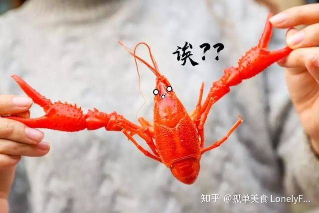 小龙虾价格飞涨,吃货哭着也要吃!(图7) 小龙虾价格飞涨,吃货哭着也要吃!(图7)