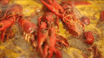 小龙虾价格飞涨,吃货哭着也要吃!(图9) 小龙虾价格飞涨,吃货哭着也要吃!(图9)