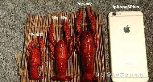 小龙虾价格飞涨,吃货哭着也要吃!(图17) 小龙虾价格飞涨,吃货哭着也要吃!(图17)