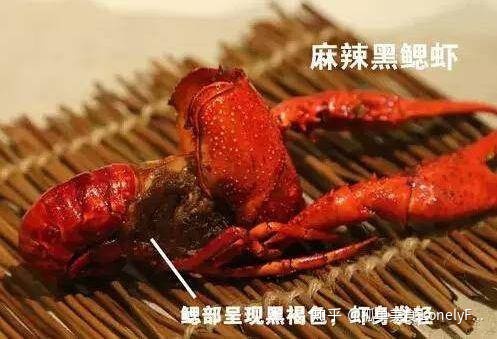 小龙虾价格飞涨,吃货哭着也要吃!(图21) 小龙虾价格飞涨,吃货哭着也要吃!(图21)