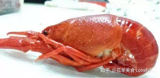小龙虾价格飞涨,吃货哭着也要吃!(图27) 小龙虾价格飞涨,吃货哭着也要吃!(图27)