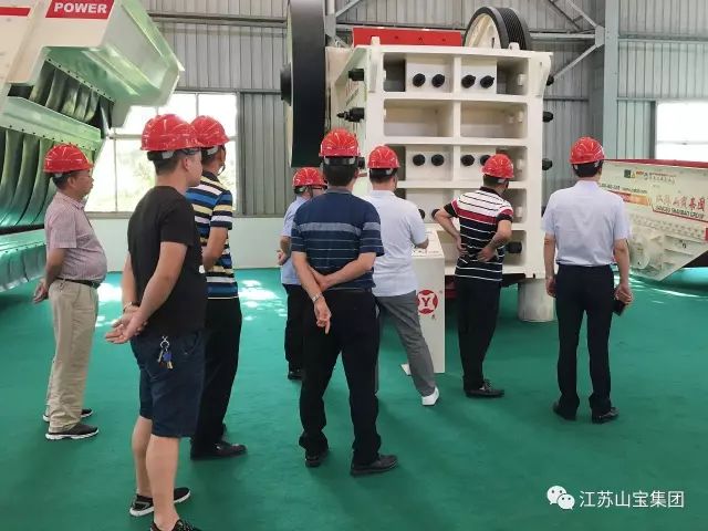 江苏山宝集团：湖北鑫九龙钙业有限公司、山东易拓新材料有限公司、南京工业大学领导莅临考察指导！(图6)