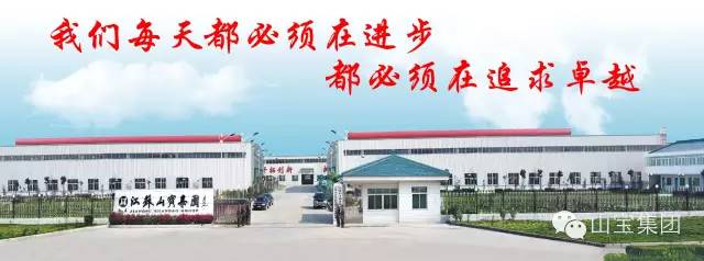 江苏山宝集团：湖北鑫九龙钙业有限公司、山东易拓新材料有限公司、南京工业大学领导莅临考察指导！(图29)
