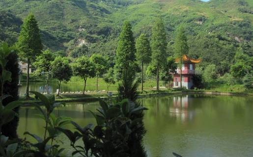 湘阴知名企业推荐(图24)