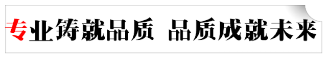 隆鼎案例：轮斗式洗砂机生产线(图1)