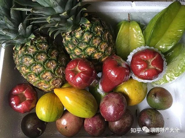 来海南必买的十大特产,每一个都值得你带回家(图1) 来海南必买的十大特产,每一个都值得你带回家(图1)