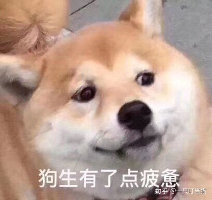 2022年移动29元70G校园流量卡,到底值不值得办理?(流量卡推荐)(图2) 2022年移动29元70G校园流量卡,到底值不值得办理?(流量卡推荐)(图2)