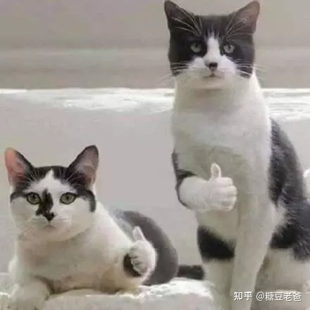 2022年洗地机—吸拖一体机推荐，洗地机哪个品牌好？添可—必胜—石头—莱克洗地机横评推荐（7月更新）(图28)