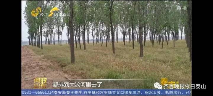 泰安9月24日接受电视问政,六个问题当晚研究整改不推诿不拖延(图26) 泰安9月24日接受电视问政,六个问题当晚研究整改不推诿不拖延(图26)