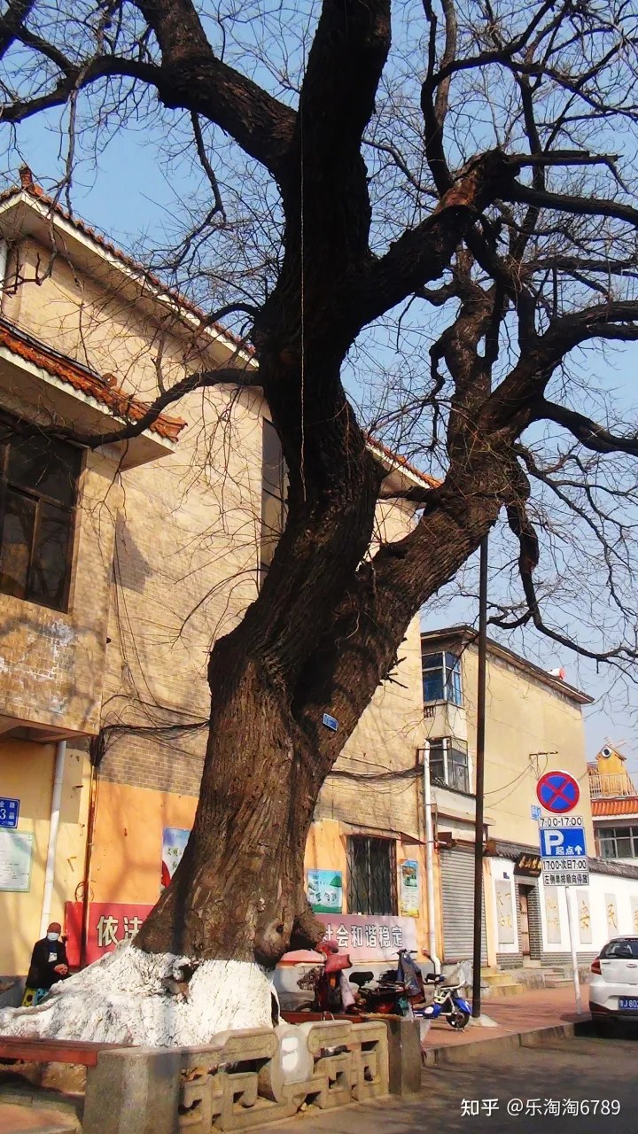 泰安:它是最古老街道之一,里面曾是豪宅林立,住着达官贵人,现仅存一处别样景观!(图11) 泰安:它是最古老街道之一,里面曾是豪宅林立,住着达官贵人,现仅存一处别样景观!(图11)