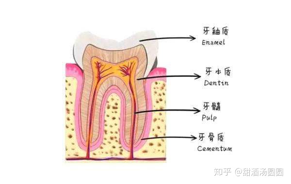 我在长沙市口腔医院补牙全过程及经验分享(图7) 我在长沙市口腔医院补牙全过程及经验分享(图7)