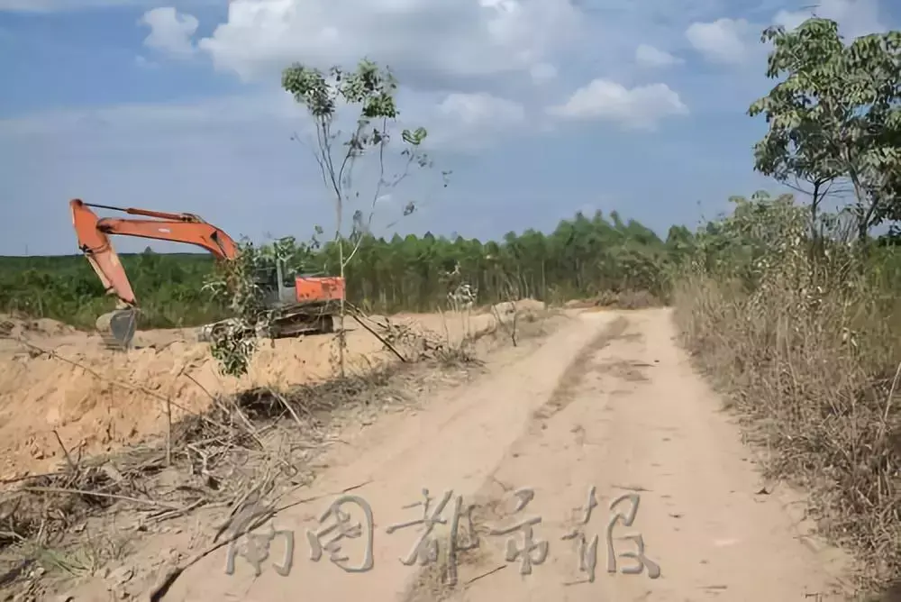 “不买我的砂就打死你!”海南这11个“砂霸”因涉黑涉恶覆灭(图8) “不买我的砂就打死你!”海南这11个“砂霸”因涉黑涉恶覆灭(图8)