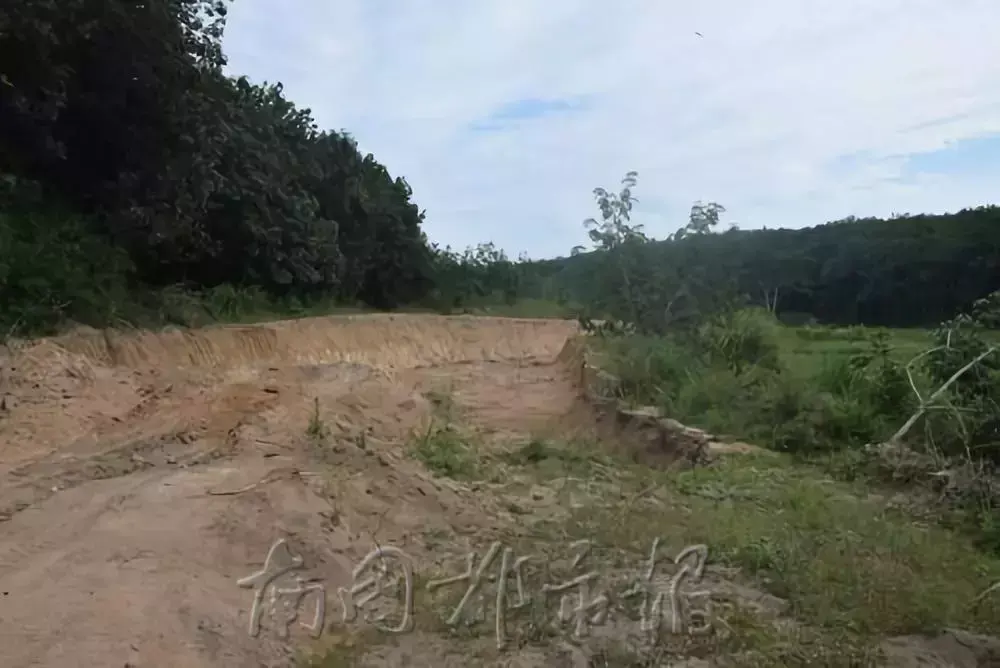 “不买我的砂就打死你!”海南这11个“砂霸”因涉黑涉恶覆灭(图11) “不买我的砂就打死你!”海南这11个“砂霸”因涉黑涉恶覆灭(图11)