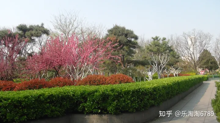 泰安:它是“皇城根里第一条街”,是泰安最繁华老街之一,如今还残存些许影子,现却几无人知!(图7) 泰安:它是“皇城根里第一条街”,是泰安最繁华老街之一,如今还残存些许影子,现却几无人知!(图7)