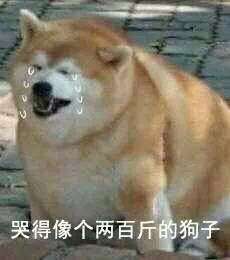 新手轻松露营装备推荐(持续更新中)(图4) 新手轻松露营装备推荐(持续更新中)(图4)