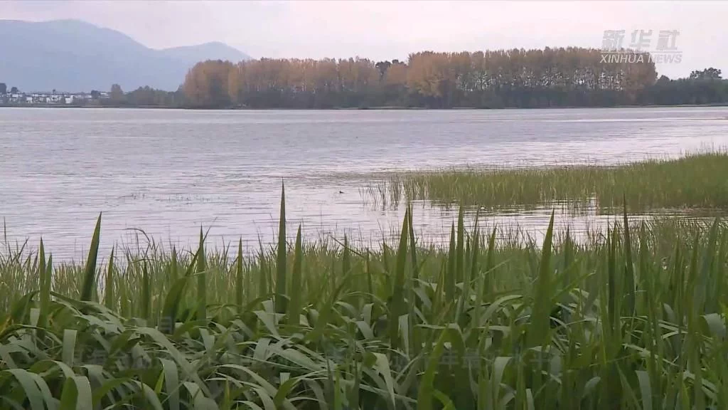 喜迎二十大|洱海之治(图5) 喜迎二十大|洱海之治(图5)