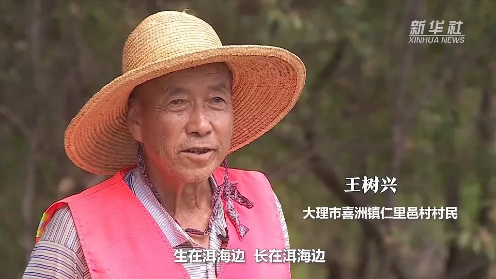 喜迎二十大|洱海之治(图3) 喜迎二十大|洱海之治(图3)
